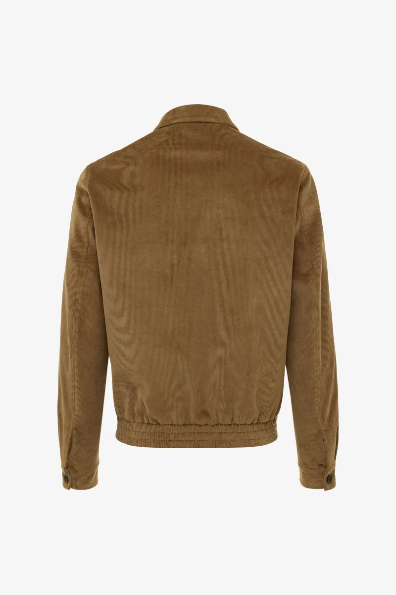 Blazer | Bruin