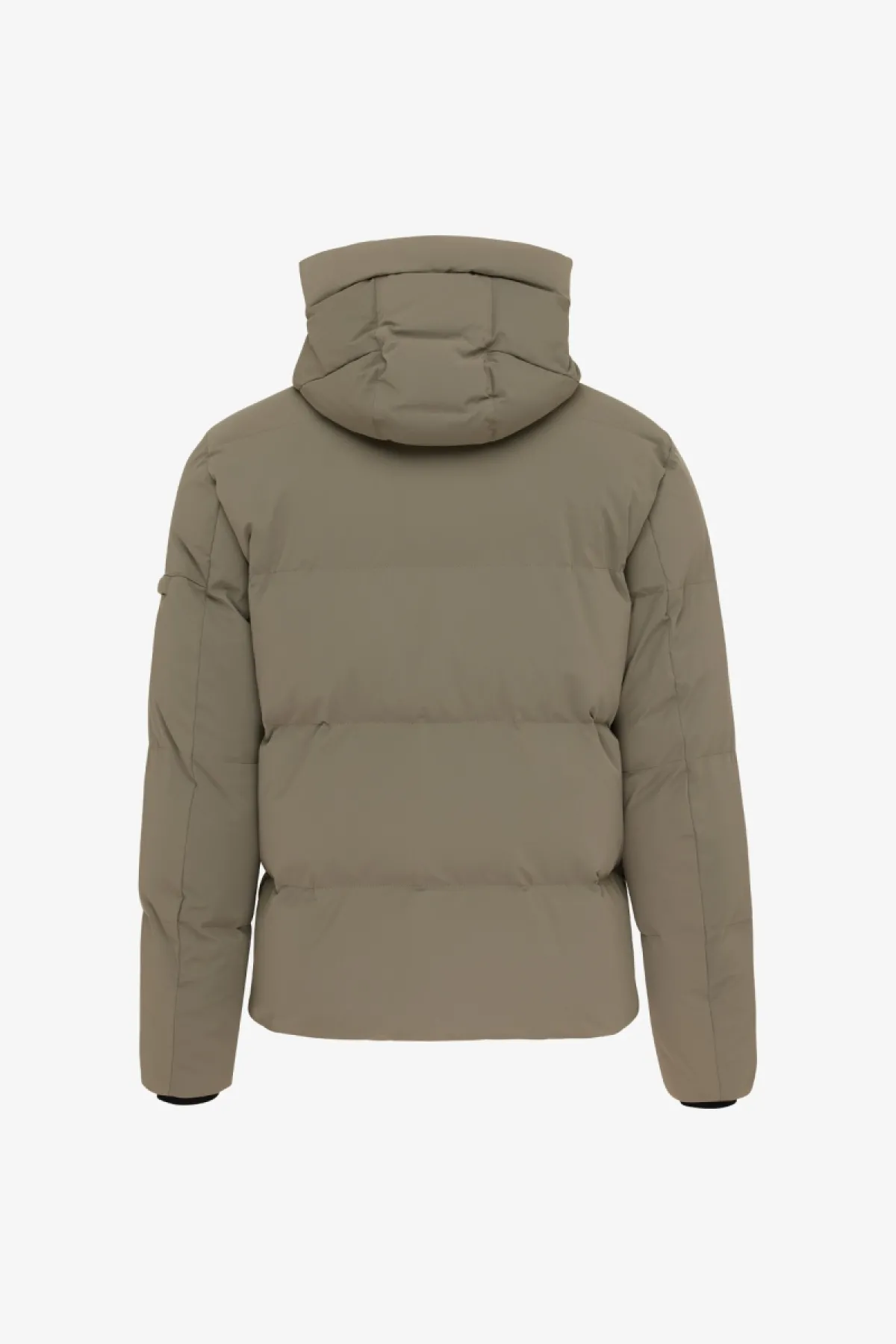 Bomber Jacket | Bruin
