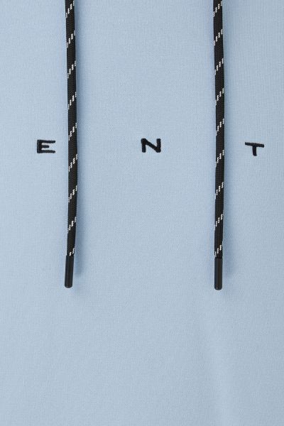 Logo hoodie lichtblauw