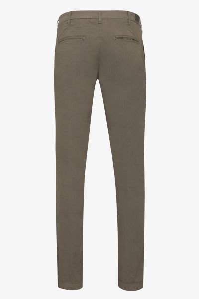 Chino Billy bruin