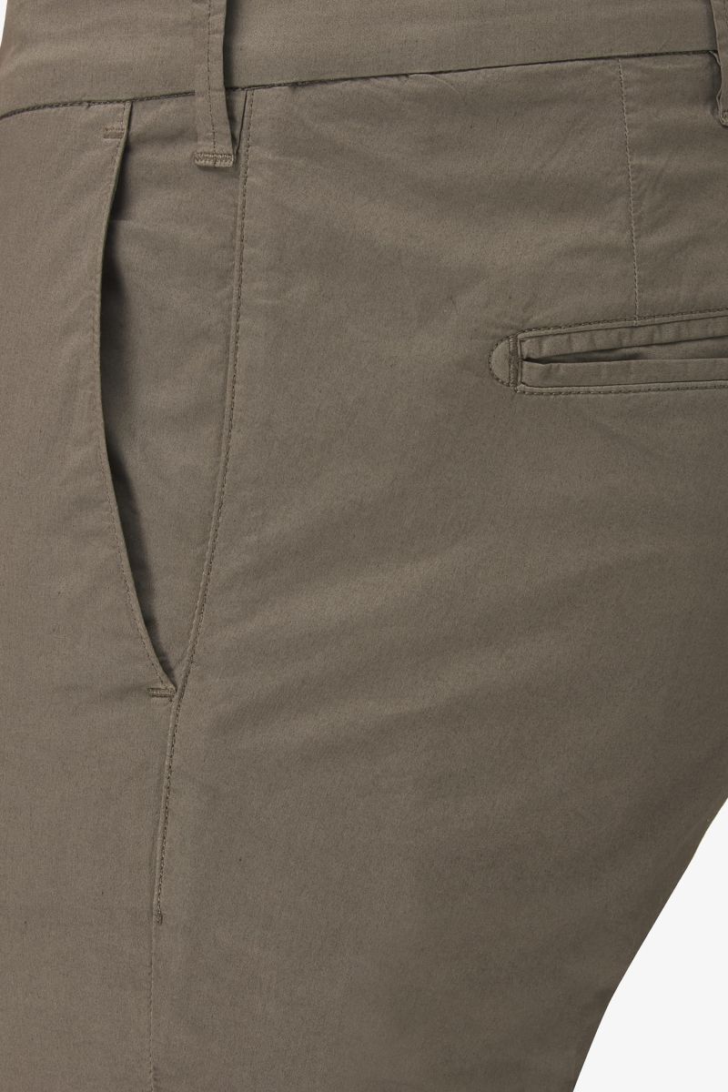 Chino Billy bruin